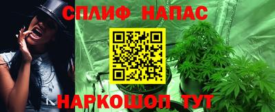 дмт Бузулук